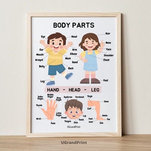 Körperteile Poster Montessori Homeschooling Lerndruck für Kleinkinder Menschlicher Körper Herunterladbares Vorschulkinder Anatomisches Poster