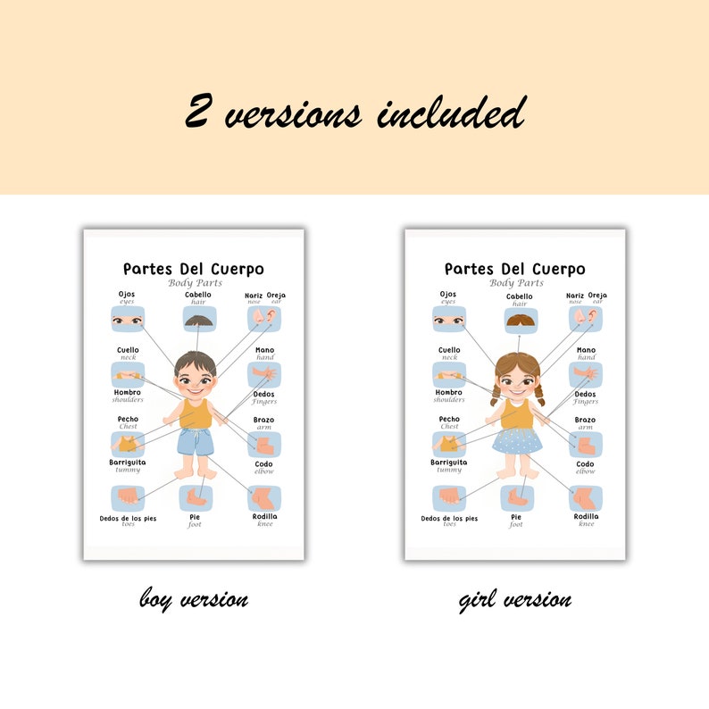 12 Bilingual Spanish Educational Poster for Kids Spanish English ...