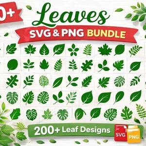 Puede incluir: Un paquete digital SVG y PNG con más de 200 diseños de hojas en varias formas y estilos. La imagen incluye el texto "Leaves SVG & PNG Bundle" y "200+ Leaf Designs."