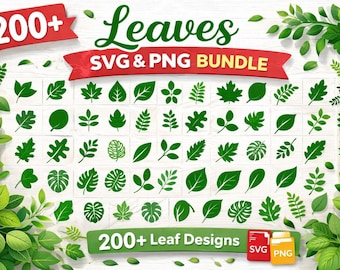 200+ Blatt SVG PNG Bundle, Herbstahorn Schnittdateien (Digitaler Download)