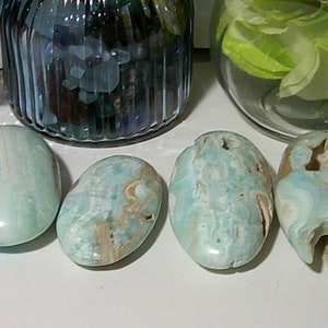Beautiful Caribbean Calcite Palm Stone