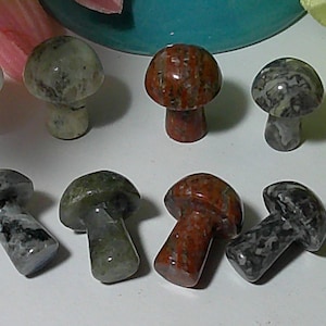 Mystery Crystal Mushroom / Mini mushroom carving / High Quality Crystal Mushroom