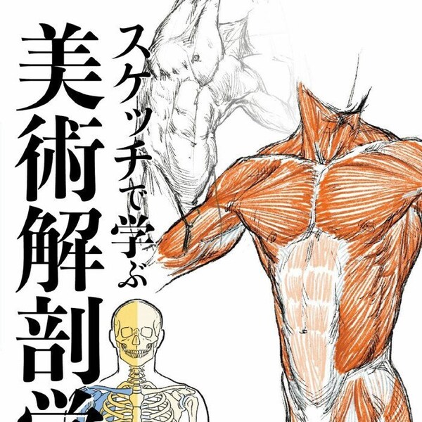 How to Draw the Human Body | Art Anatomy Learned From Sketches | Japanese Learn to Draw eBook | PDF Instant Download