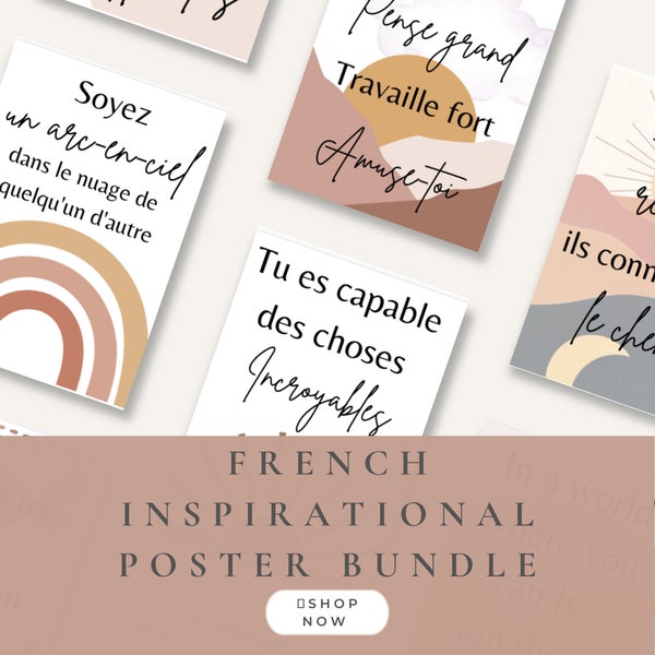 PRINTABLE FRENCH Wall Art | Boho FRENCH Classroom Motivational Poster Pack |  Elementary School | Teacher Printable | Inspirational