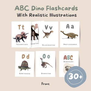 Dinosaurs ABC Flash Cards  with accurate illustrations+ Free Dinosaur Coloring Book| Educational Learning | Nursery Decor | Digital download