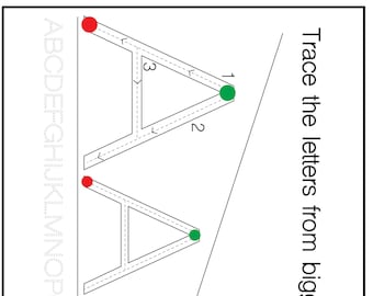 Level 1 - Decreasing Letter Size Work Book