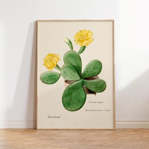 Botanische Kunst Druck, Botanische Wandkunst, Kaktus Poster, Antike botanische Drucke, Vintage Blumendrucke, Wildblumen Druck, digitaler Download