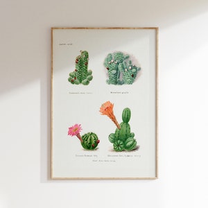 Botanische Kunst Druck, Botanische Wandkunst, Kaktus Poster, Antike botanische Drucke, Vintage Blumendrucke, Wildblumen Druck, digitaler Download