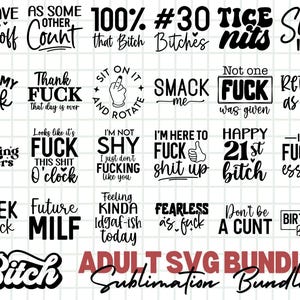 Adult Svg Bundle, Funny Adult Bundle, Adult Quotes SVG, Funny quotes SVG Bundle, Sarcastic SVG, Adults Svg, Rude Svg, Crafting Bundle