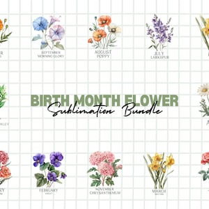 Birth Month Flowers Clipart Bundle, Antique Floral PNG bundle, DIY Birth Month Flower Print Creator Kit, Flower Graphic, Botanical Clipart