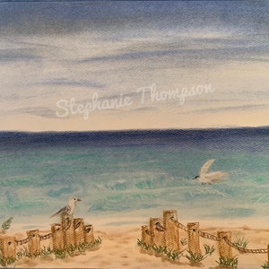 Seagull Landings