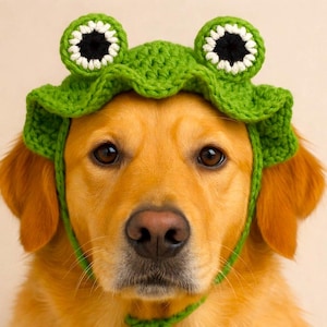 May include: A golden retriever wearing a green crocheted frog hat with white and black eye details. The hat is tied under the chin with a green string. The image includes the text "Pattern in 4 Languages".