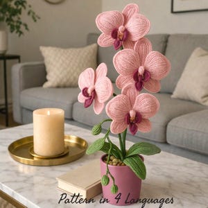 Patrón PDF para maceta de orquídeas a crochet, planta de orquídea amigurumi, regalo de decoración para el hogar hecho a mano, flor de crochet realista, 4 idiomas