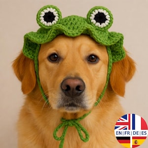 Crochet Frog Pet Hat PDF Pattern, Cat & Dog Costume, English German French Spanish