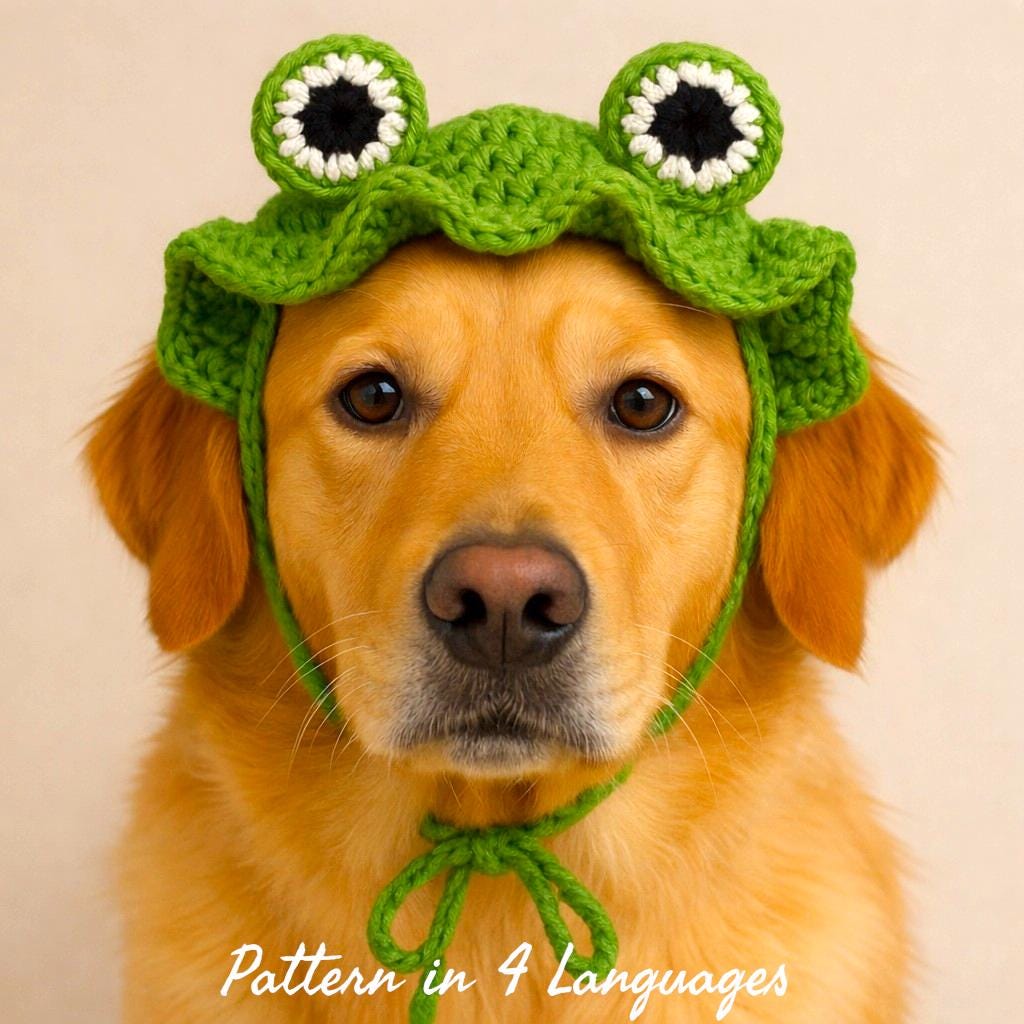 30 Frog Hat Crochet Patterns for Playful Animal Hats, Balaclavas, and Amigurumi Projects 8 Frog Hat Pattern for Cats and Dogs