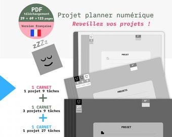 reMarkable gestion de projet iPad en français