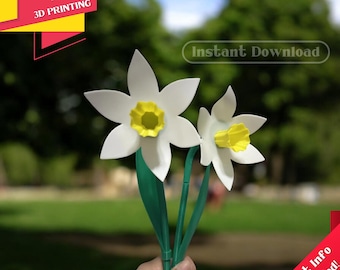 3D-model narcisbloem: STL- en 3MF-bestanden (digitale download)