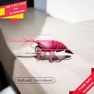 Articulated Shrimp - STL&3MF Files, Ready to Print, 3D Printable Flexi Shrimp, Articulated Animal Model, Sea Life Decoration