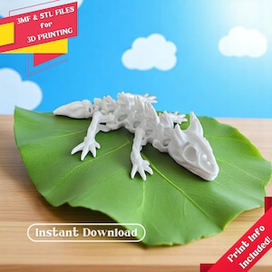 Articulated Skeleton Lizard - STL & 3MF Files for 3D Printers, Ready to Print, Flexi Fidget Poseable Toy