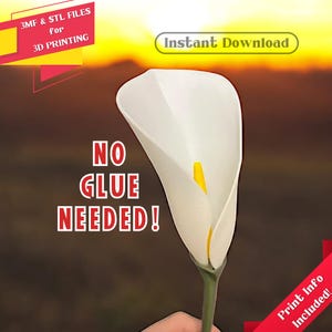 Könnte beinhalten: Eine weiße Calla-Lilie mit gelber Mitte. Die Blume wird in einer Hand vor einem Sonnenuntergangs-Hintergrund gehalten. Der Text "NO GLUE NEEDED!" ist in roten Buchstaben auf braunem Hintergrund. Der Text "Instant Download" ist in weißen Buchstaben auf blauem Hintergrund. Der Text "Print Info Included!" ist in weißen Buchstaben auf rotem Hintergrund.