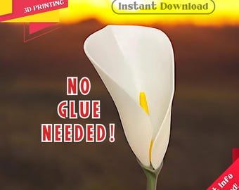 Calla Lily Flower - STL&3MF Files, Ready to 3D Print, Decoration, Mother's Day, Women's Day, Suprises, Valentine's Day, Gift