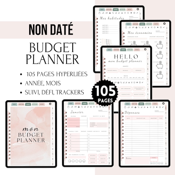 Undated French Digital Budget Planner for goodnotes, Monthly and annual financial monitoring, Undated Budget Planner, Budget Agenda