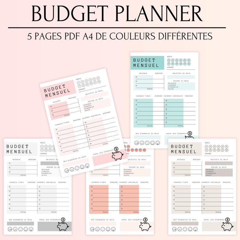 Budget planner français a imprimer ou utiliser dans goodnotes pour le ...