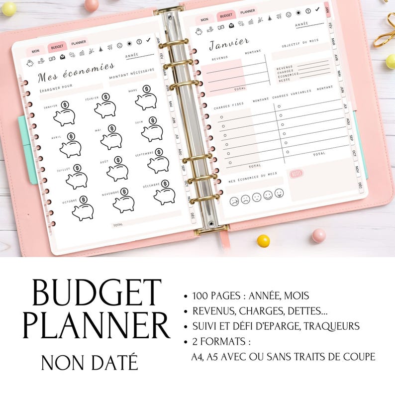Planificateur budgétaire français non daté avec suivi financier mensuel et annuel. Parfait pour organiser vos dépenses, fixer des objectifs financiers, et gérer vos finances de manière pratique. Compatible avec une utilisation imprimée ou numérique.