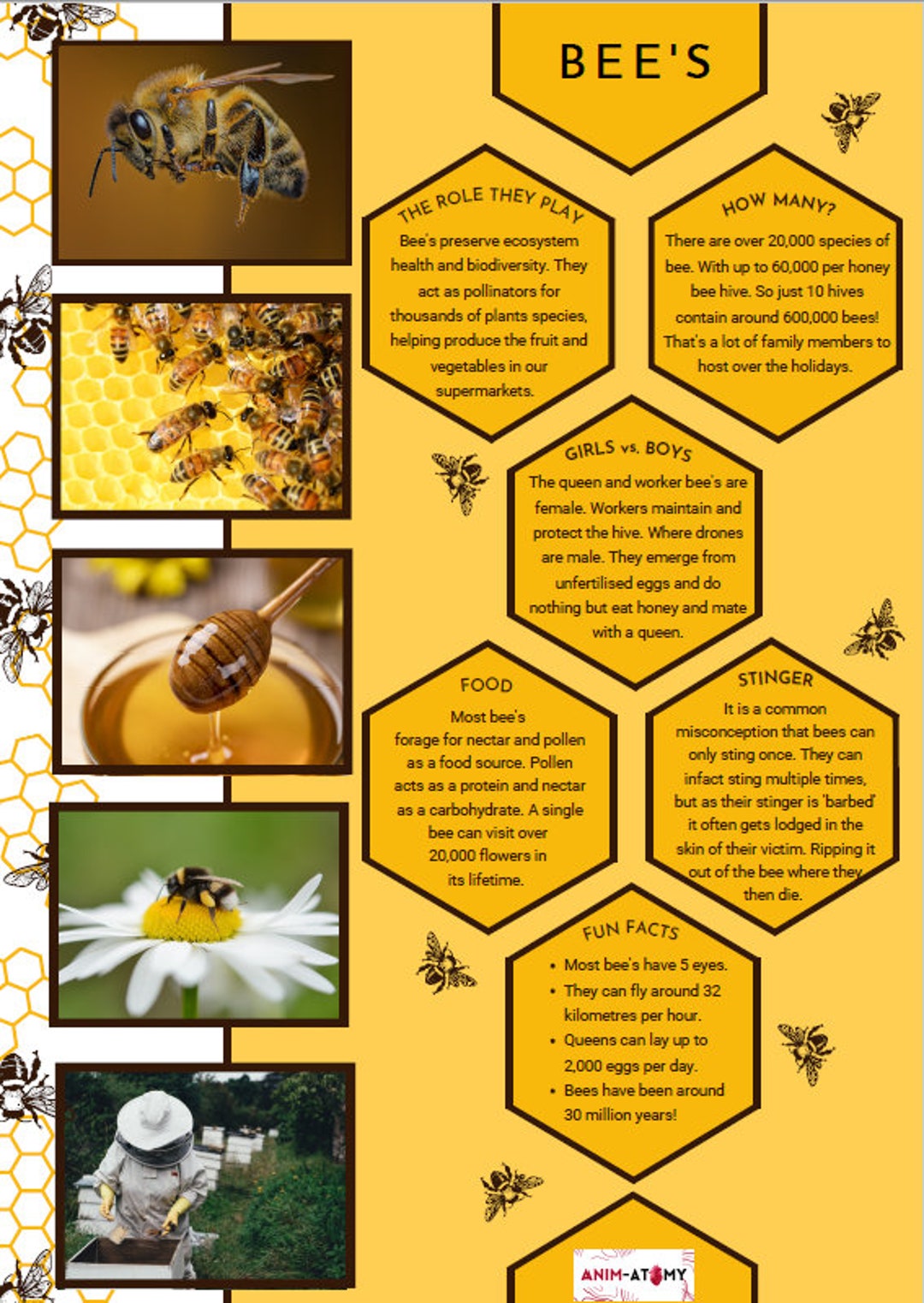 bee-facts-poster-etsy