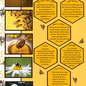 May include: Educational infographic about bees, featuring images of bees, honeycombs, and honey. The text provides facts about bee roles, species, and fun facts, including their ability to fly 32 kilometers per hour.