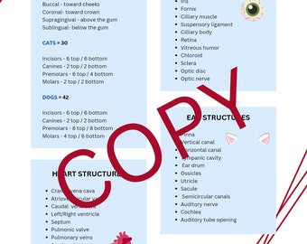 Anatomy - Structures - study sheet