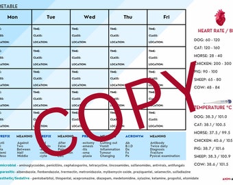 Vet School Timetable