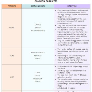 May include: A chart titled "Common Parasites" with a table listing common parasites, their hosts, and their life cycles. The parasites listed are Fluke, Ticks, and Lice. The hosts listed are Cattle, Sheep, Wild Ruminants, Most Mammals, Reptiles, Birds, Cats, Dogs, Livestock, and Birds.