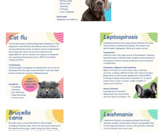 Animal Disease Posters: Kennel cough, cat flu, leishmania, lepto. and brucellosis