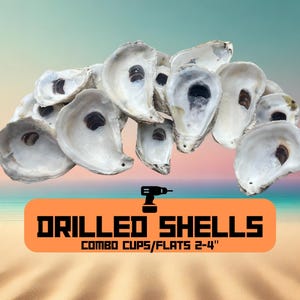 Drilled Oyster Shells - 2-4 inches- Perfect for Crafting