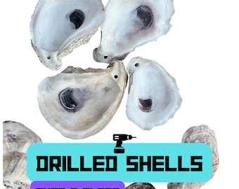Austernschalen gebohrt – Muscheln zum Basteln