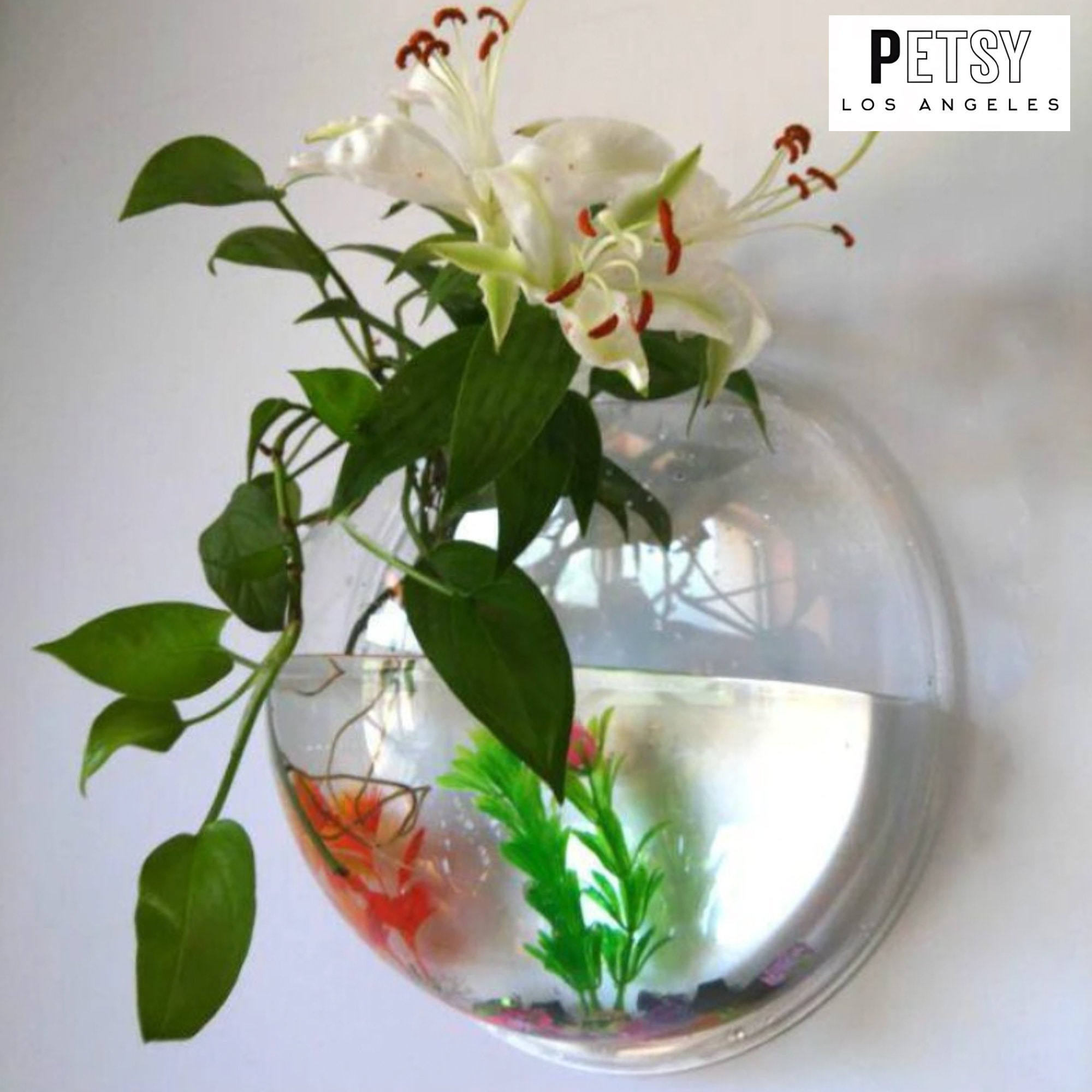 Mount Fish Tank, Fish Bowl Wall Mount, Fish Bowl, Fish Tank, Goldfish