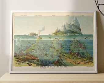 May include: A vintage illustration of a mountain range with a caption that reads "Nature in Descending Regions". The image shows the mountain range above the waterline and the underwater landscape below.