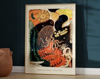 Sea Cucumber Print, Marine Biology Poster, Vintage Sea Life