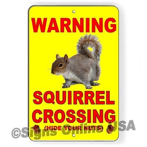 May include: A yellow warning sign with red text that reads "WARNING SQUIRREL CROSSING (HIDE YOUR NUTS)". A gray squirrel is pictured on the sign.