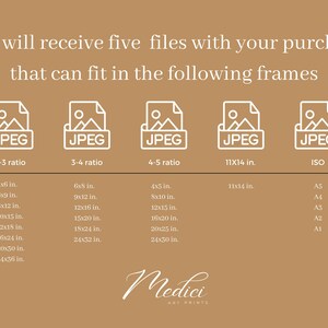 May include: A graphic showing five different image file sizes and their corresponding frame sizes. The image file sizes are 2-3 ratio, 3-4 ratio, 4-5 ratio, 11x14 inches, and ISO. The frame sizes are listed in inches and include standard sizes like 4x6, 6x9, 8x10, 12x16, 16x20, 20x25, 24x30, and 24x36. The ISO sizes are A5, A4, A3, A2, and A1.