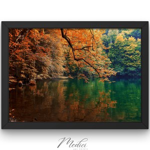 May include: A framed photograph of a lake in the forest during autumn. The water is still and reflects the trees on the shore. The trees are a mix of green and orange.