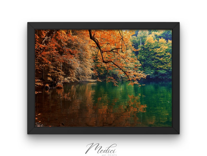 May include: A framed photograph of a lake in the forest during autumn. The water is still and reflects the trees on the shore. The trees are a mix of green and orange.