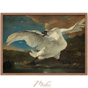 Può includere: Un dipinto incorniciato che rappresenta un cigno bianco con le ali spiegate, in piedi su una riva rocciosa con l'acqua alle spalle. La testa del cigno è girata all'indietro e il suo becco è aperto come se stesse per cantare. Il dipinto è ambientato su uno sfondo di cielo nuvoloso.