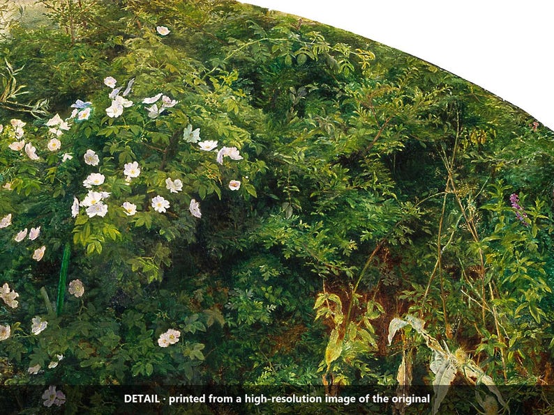Puede incluir: Una reproducci&oacute;n detallada de pintura al &oacute;leo que presenta un denso matorral de follaje verde exuberante y rosales silvestres blancos con p&eacute;talos delicados. La escena captura un suelo forestal natural con texturas variadas de hojas.