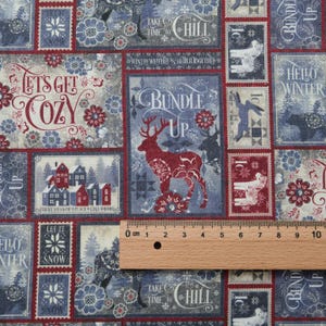 May include: A winter-themed fabric with rectangular designs. The designs feature text such as "Let's Get Cozy" and "Bundle Up", alongside illustrations of deer, houses, and snowflakes. The color scheme includes red, blue, and white. The ruler shows 10 cm.