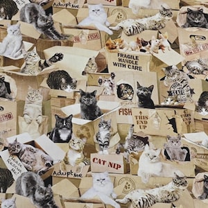 May include: A fabric pattern featuring numerous cats of various breeds and colors, nestled in and around cardboard boxes. Some boxes have text like "Adopt Me," "Cat Nip," and "Fragile." The overall design is a whimsical, cat-themed illustration.