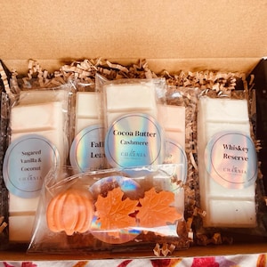Fall Wax Melt Variety Box, Wax Melt Mystery Box, Strong Scents, Gift Set, Wax Melts, Gift, Fall Wax Melts, Fall, Pumpkin Spice