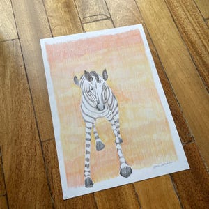 Zebra