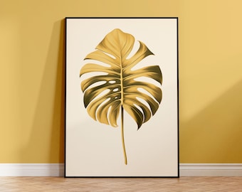 monstera groot Monstera Liebhaber-Set (3 Stk.) kaufen